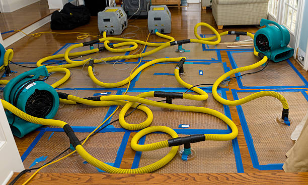 Professional Flood Damage Restoration technician working in Pena Blanca, NM